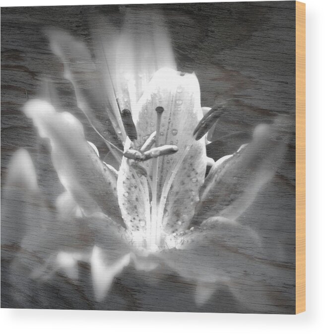 Flower Wood Print featuring the photograph Ghost Flower by Amanda Eberly
