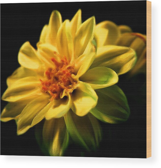 Flower Wood Print featuring the photograph Golden Flower by Georgiana Romanovna