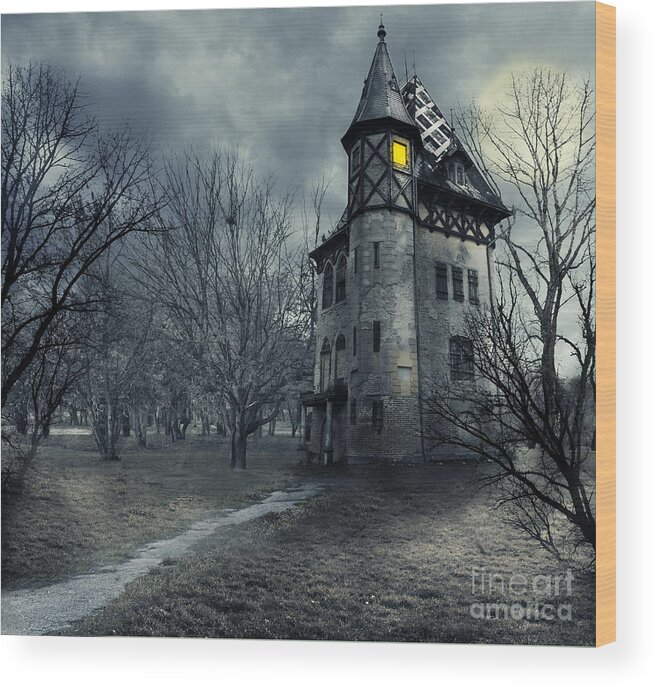 House Wood Print featuring the photograph Haunted house by Jelena Jovanovic