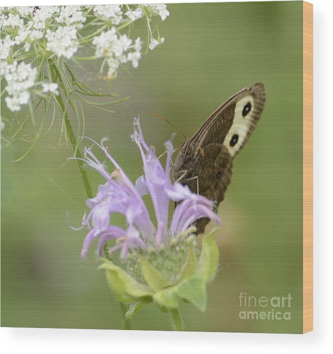 Mountain Meadow Wood Print featuring the photograph High Meadow Memory by Randy Bodkins