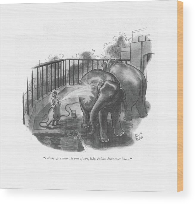 113556 Rde Richard Decker Elephant Keeper At The Zoo To Worried Lady. Animal Clean Cleaning Democrat Democrats Donkey Elephant Elephants Hose Hosing Keeper Parties Party Republican Republicans Worried Zoo Zookeeper Zookeepers Zoos Wood Print featuring the drawing I Always Give Them The Best Of Care by Richard Decker