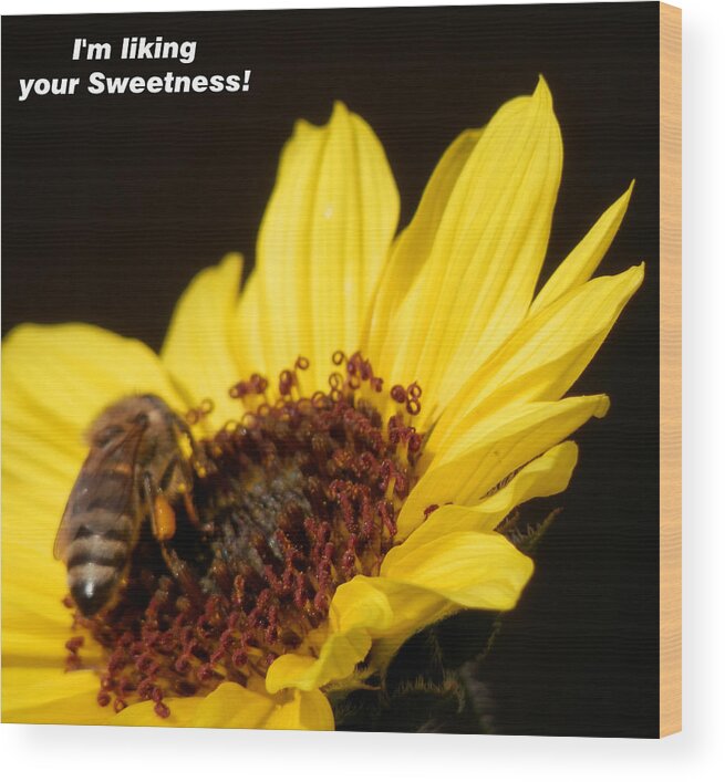 Honey Wood Print featuring the photograph Honey Bee Sweetness by Belinda Lee