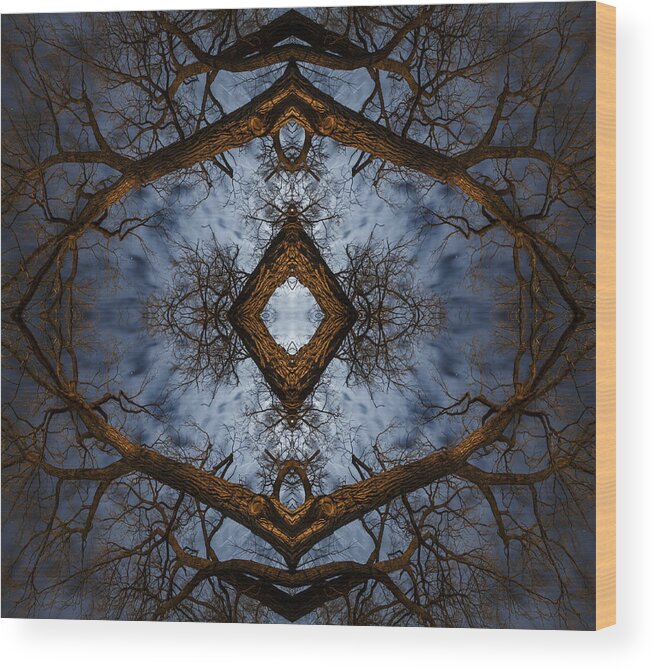 Matt Molloy Wood Print featuring the photograph Intricate Eye in the Sky by Matt Molloy