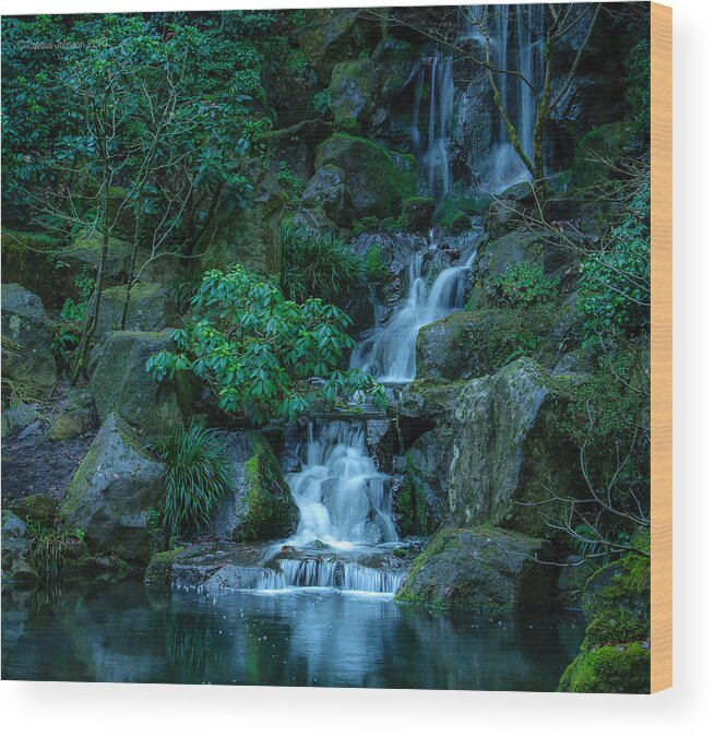 Portland Oregon Wood Print featuring the photograph Japanese Garden Serenity 1 by Cassius Johnson