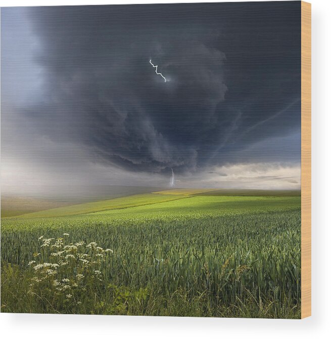 June Wood Print featuring the photograph June Storm by Franz Schumacher