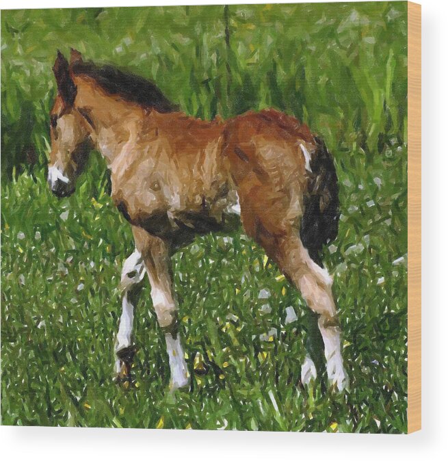Mini Foal And Dandelions Miniature Horse Wood Print featuring the pastel Mini Foal And Dandelions Miniature Horse by Olde Time Mercantile
