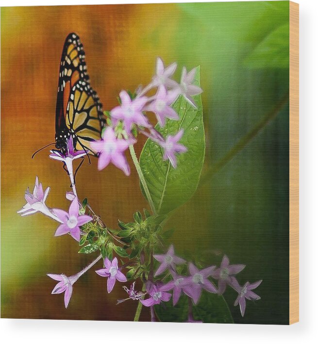 Monarch Wood Print featuring the photograph Monarch Butterfly by Craig Watanabe
