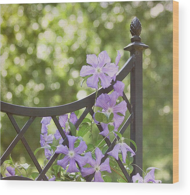 Purple Flower Wood Print featuring the photograph On The Fence by Kim Hojnacki