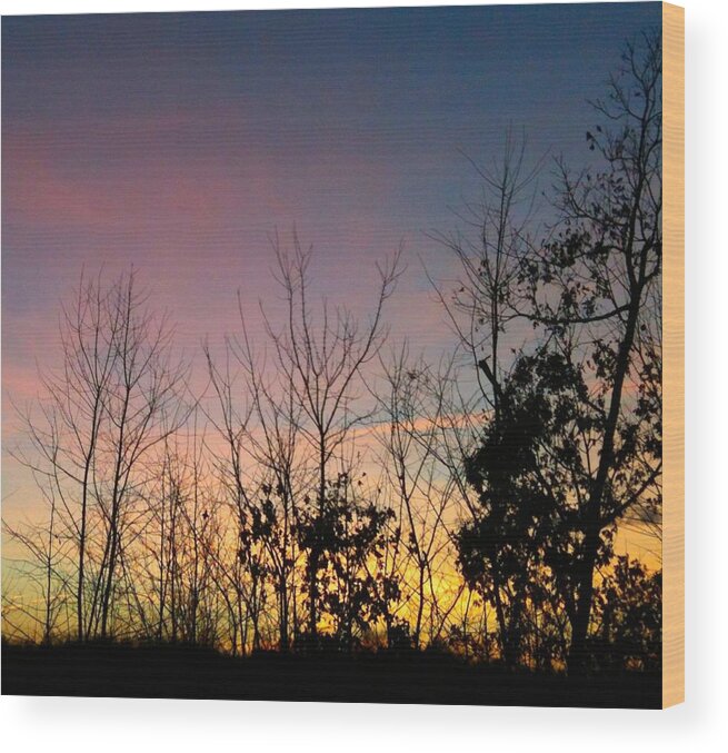 Durham Wood Print featuring the photograph Quiet Evening by Linda Bailey