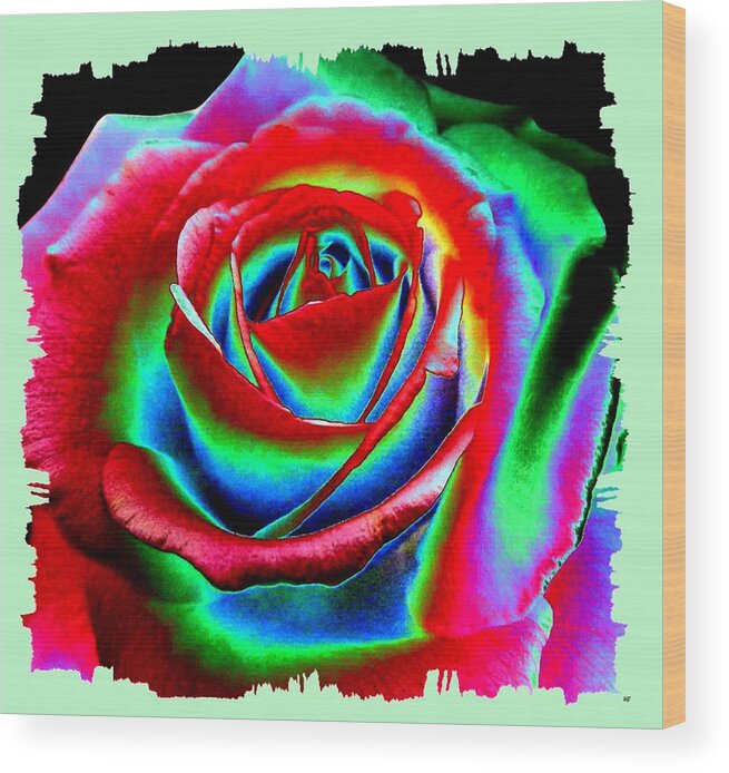 Razzle Dazzle Rose Wood Print featuring the digital art Razzle Dazzle Rose by Will Borden