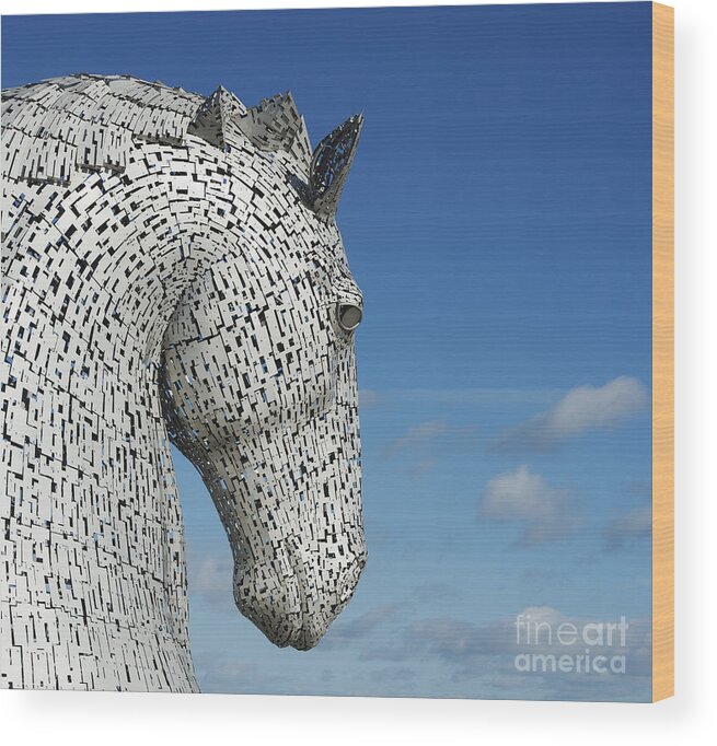 The Kelpies Wood Print featuring the photograph The Kelpies by Tim Gainey