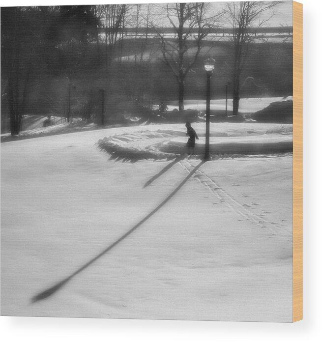 Acrylic Print Wood Print featuring the photograph The Path by Thomas Lavoie