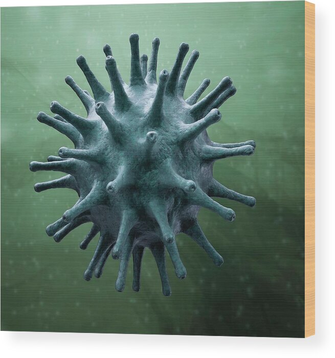 Biology Wood Print featuring the photograph Virus Particle by Andrzej Wojcicki/science Photo Library