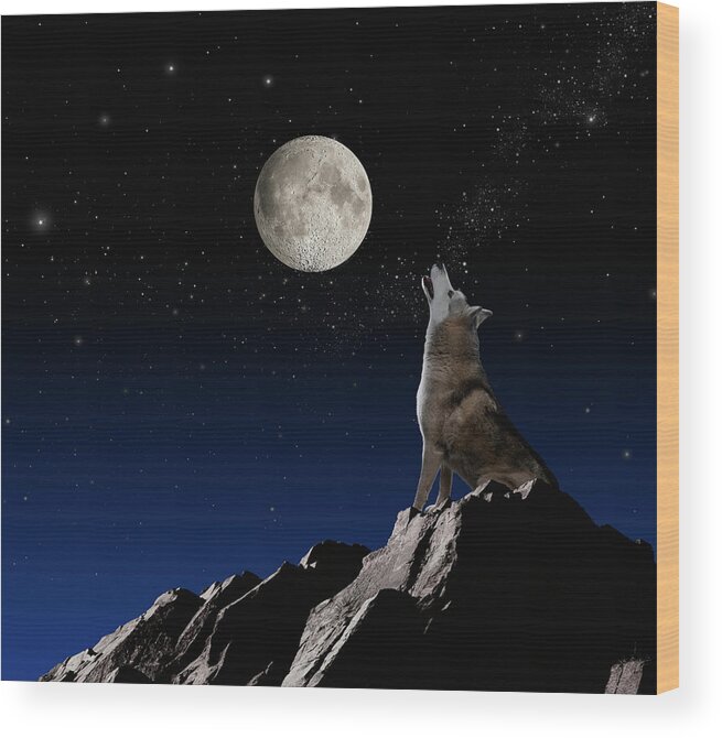 Animal Themes Wood Print featuring the photograph Wolf Howling At Moon by John Lund