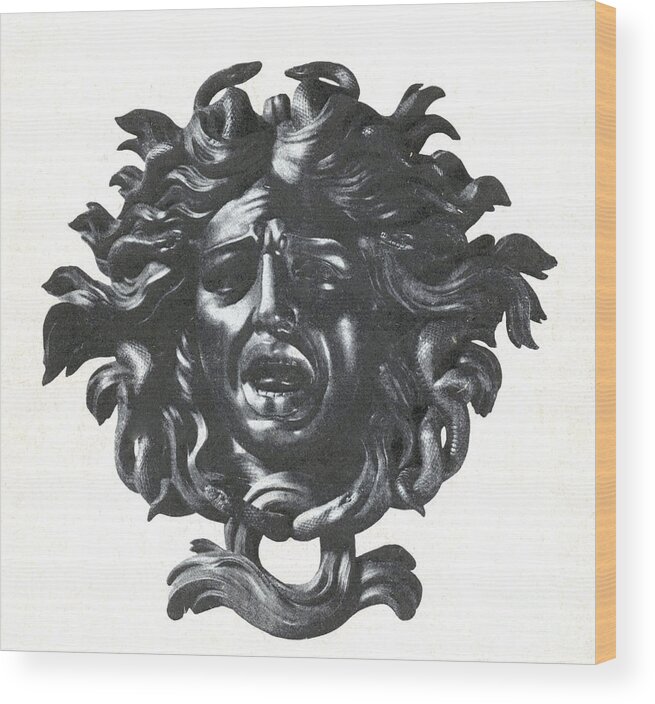 Petrifying Wood Print featuring the photograph Medusa Head #1 by Photo Researchers