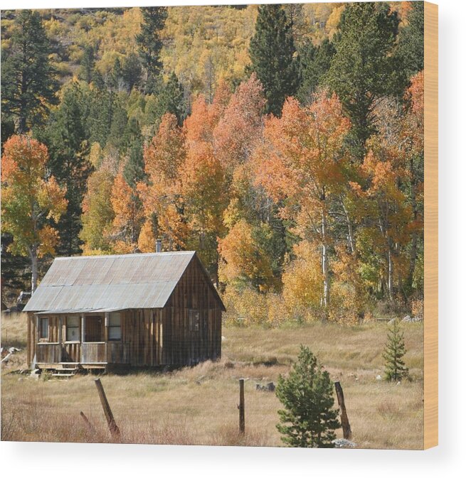 Cabin Wood Print featuring the photograph Cabin in Autumn by Anthony Trillo