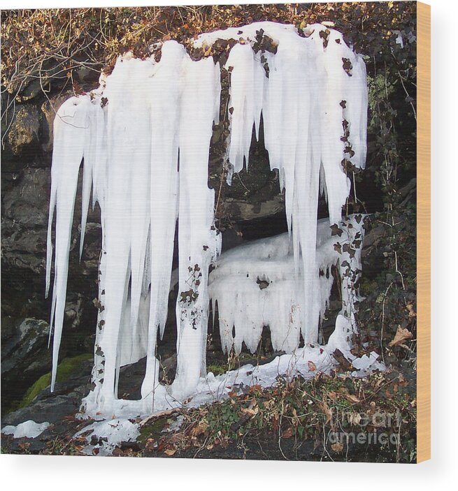  Wood Print featuring the photograph ICE by Gerald Kloss