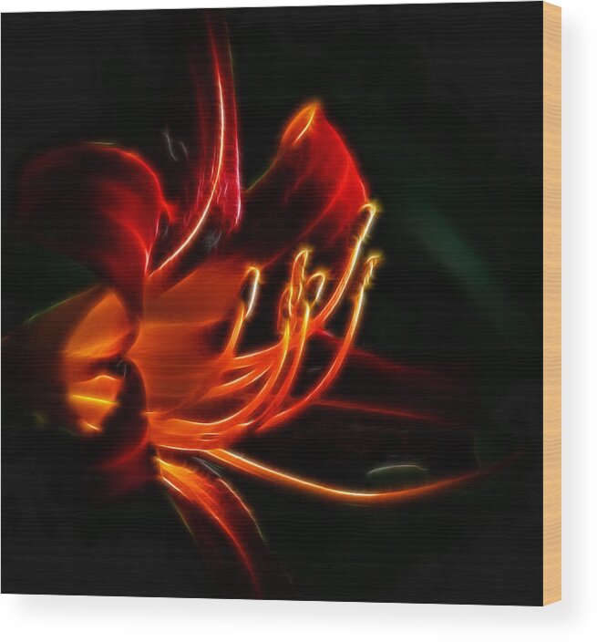 Lily Wood Print featuring the photograph Lily Flame by Joetta West