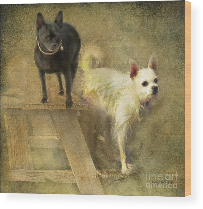 Happiness Wood Print featuring the digital art My Chihuahua Girlz by Rhonda Strickland
