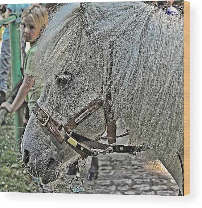 Pony Wood Print featuring the photograph My Little Pony dream by Lauren Serene