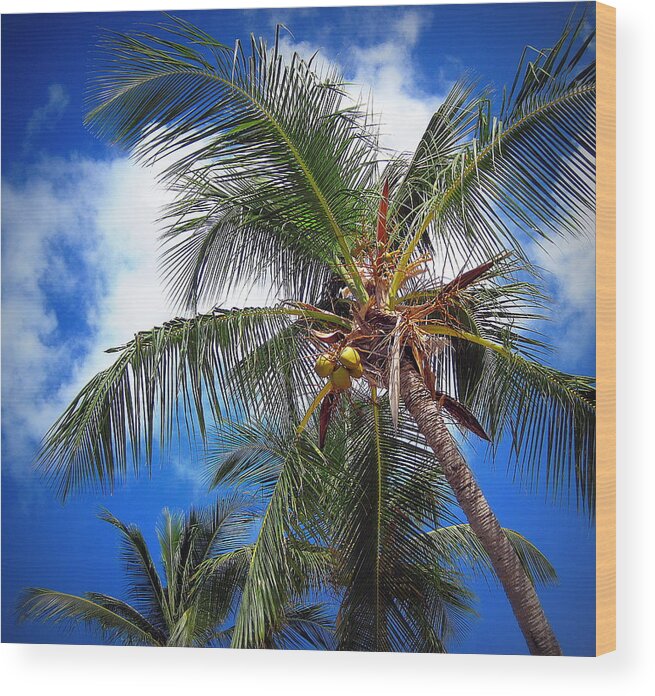 Palm Tree Wood Print featuring the photograph Palm Dream by Life Makes Art