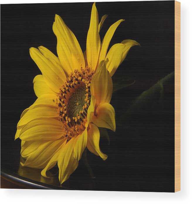 Sunflowers Photographs Wood Print featuring the photograph The Sun Flower by Davor Sintic