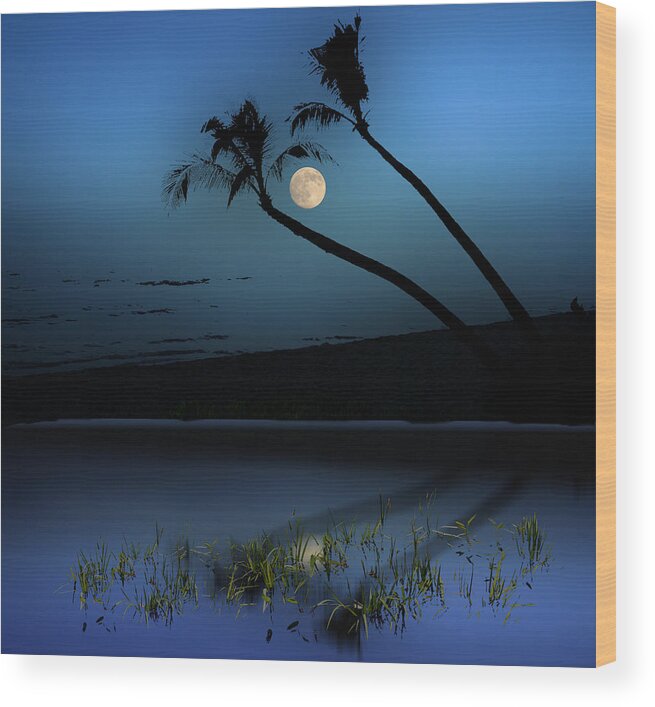 Palm Trees Wood Print featuring the photograph 4172 by Peter Holme III