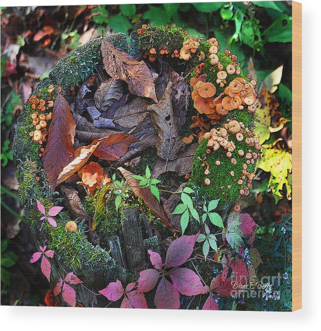 Diane Berry Wood Print featuring the digital art Adirondack Autumn Bouquet by Diane E Berry