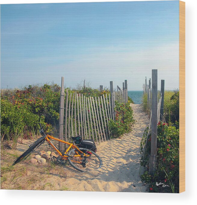 Bicycle Wood Print featuring the photograph Bicycle Rest by Madeline Ellis