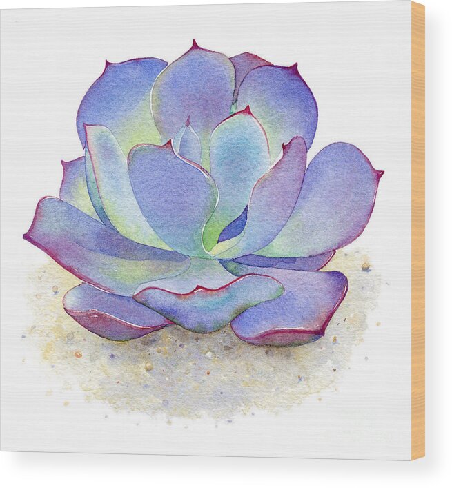 Watercolor Wood Print featuring the painting Blue Sky Succulent by Laura Nikiel