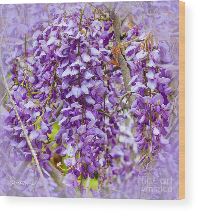 Busy Bee In Wisteria Flowers Wood Print featuring the photograph Busy Bee in Wisteria Flowers by Michelle Constantine