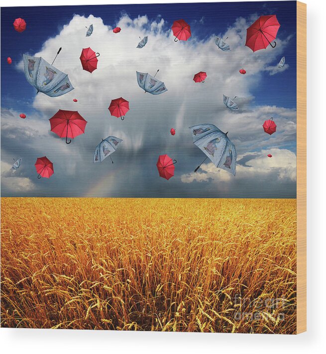 Field Wood Print featuring the photograph Cloudy With A Chance Of Umbrellas by Bob Christopher