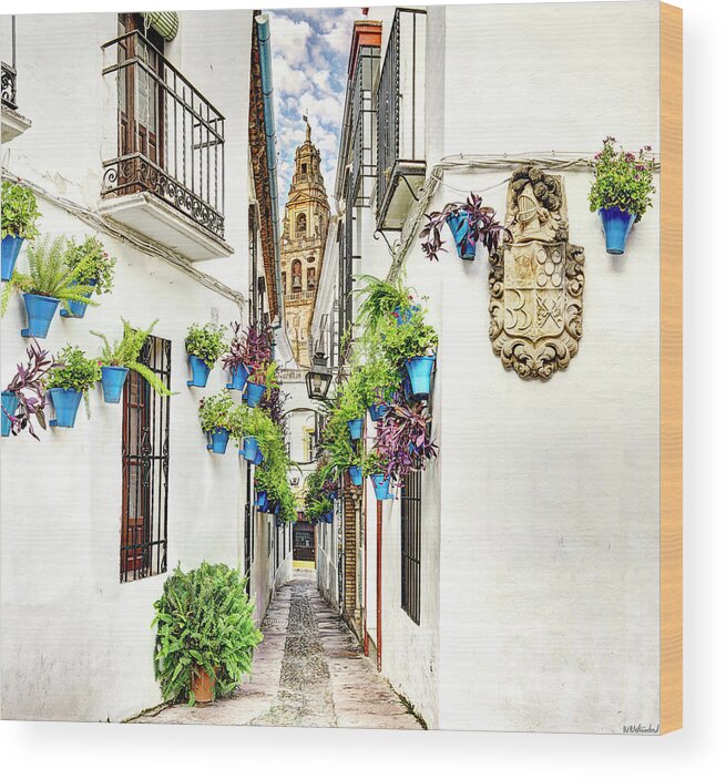 Cordoba Wood Print featuring the photograph Cordoba Flower Street wide by Weston Westmoreland