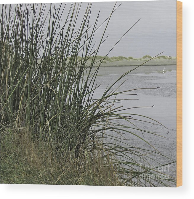Landscape Wood Print featuring the photograph Bodega Dunes #2 by Joyce Creswell