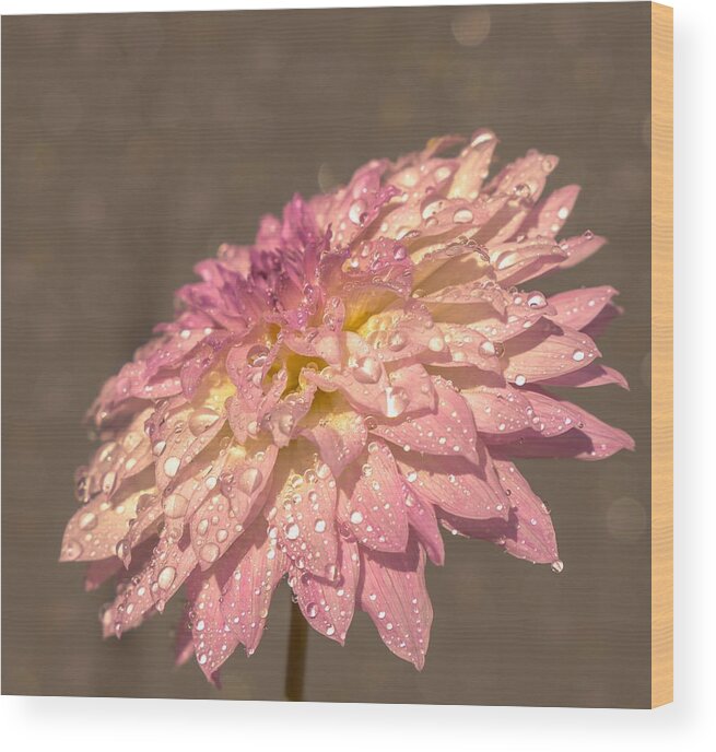 Flowers Wood Print featuring the photograph Heavenly Scent by Rose-Maries Pictures
