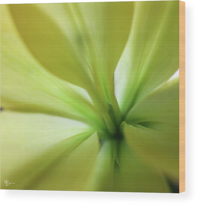 Macro Wood Print featuring the photograph Inside and Out by Mary Anne Delgado