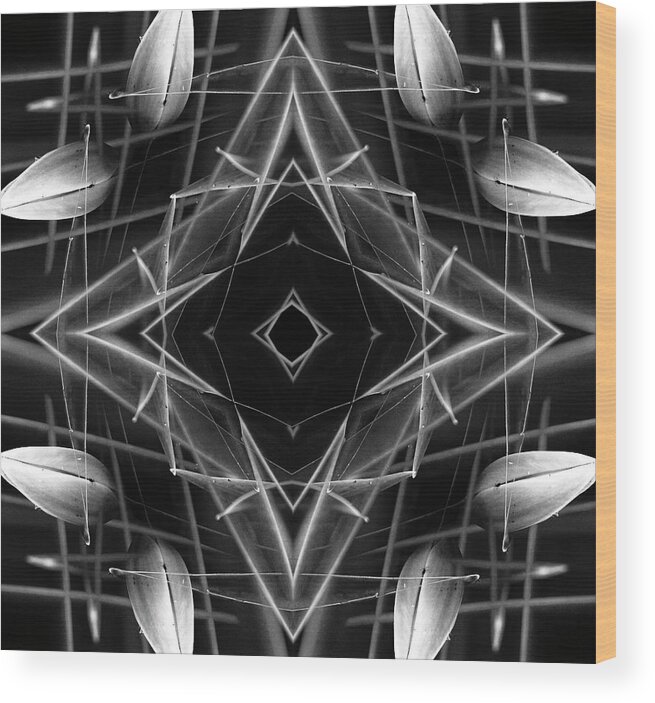 Kaleidoscope Wood Print featuring the photograph Kal7 by Morgan Wright