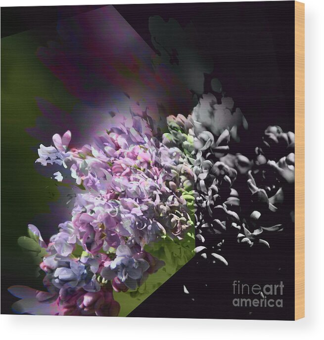 Lilac Wood Print featuring the photograph Lilac by Elaine Hunter