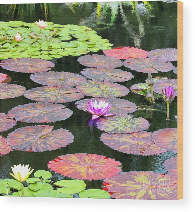 Lilies Wood Print featuring the photograph Lily Pads and Parasols by Marcia Breznay