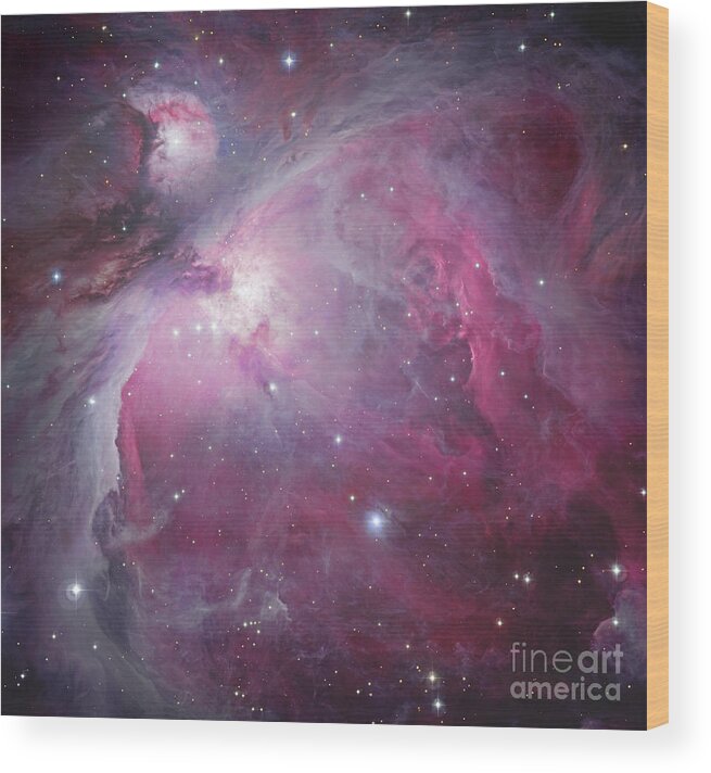 Universe Wood Print featuring the photograph M42, The Orion Nebula by Robert Gendler