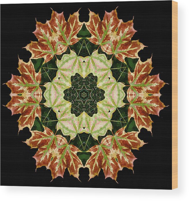Autumn Wood Print featuring the photograph Mandala Autumn Star by Nancy Griswold