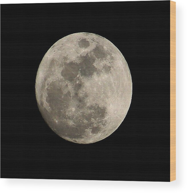  Wood Print featuring the photograph Moon by Barbara Teller