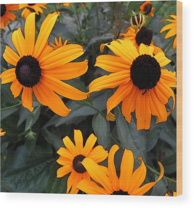 Flowers Wood Print featuring the photograph Orange WC by Lyle Crump