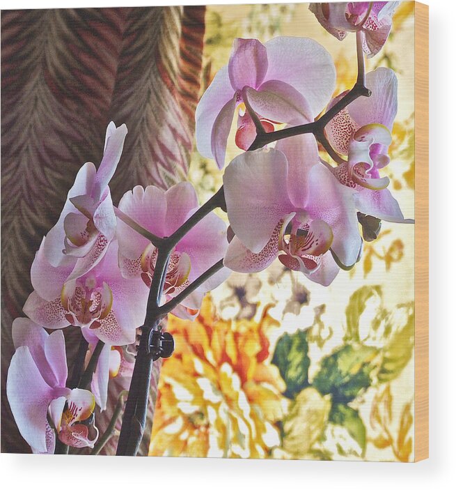 Orchids Wood Print featuring the photograph Rose Cottage Orchid by Janis Senungetuk