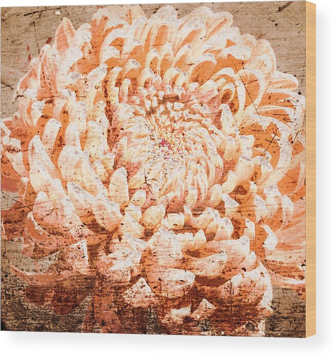 Mum Wood Print featuring the photograph Rustic Peach Mum by Suzanne Powers