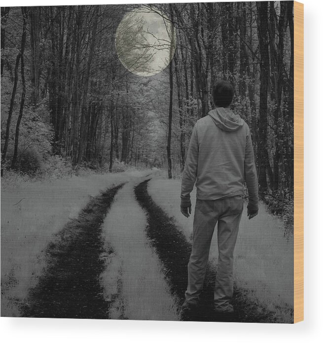 Moon Wood Print featuring the photograph Soliloquy by Jim Cook