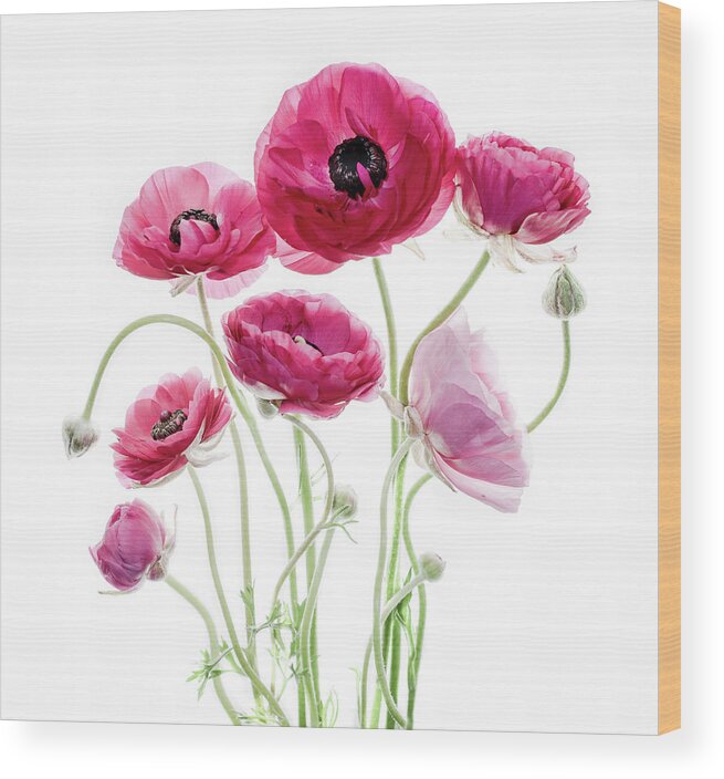 Ranunculus Wood Print featuring the photograph Spring Bouquet by Rebecca Cozart