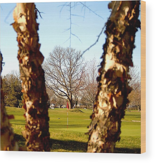 Golf Wood Print featuring the photograph Spring Golf by Newwwman