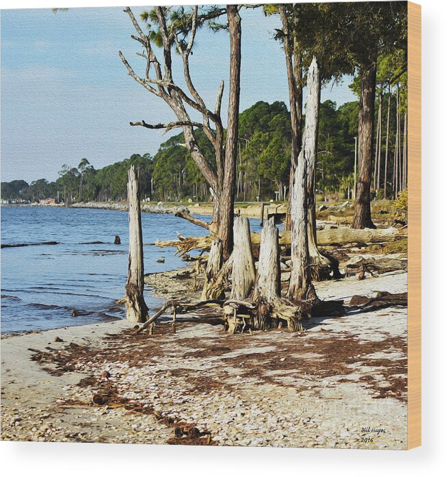 Art Wood Print featuring the painting Stump Beach by DB Hayes