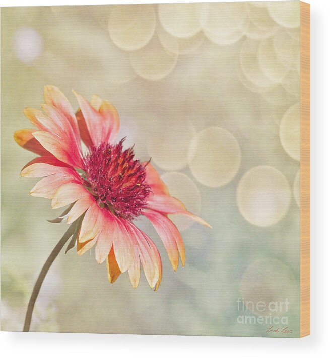 Flower Wood Print featuring the photograph Summer Bliss by Linda Lees